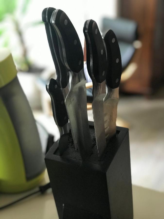 Grosse & Voll Ausgestattete Apartments, Studios, Doppelzimmer, Workspace, Parkplatz, Netflix, Prime & Schnelles Wifi In Ruhiger Lage Mit Garten Rudolstadt Εξωτερικό φωτογραφία
