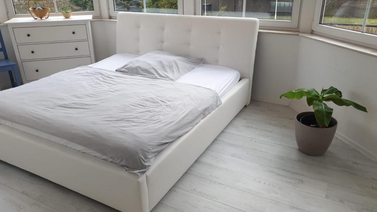 Grosse & Voll Ausgestattete Apartments, Studios, Doppelzimmer, Workspace, Parkplatz, Netflix, Prime & Schnelles Wifi In Ruhiger Lage Mit Garten Rudolstadt Εξωτερικό φωτογραφία