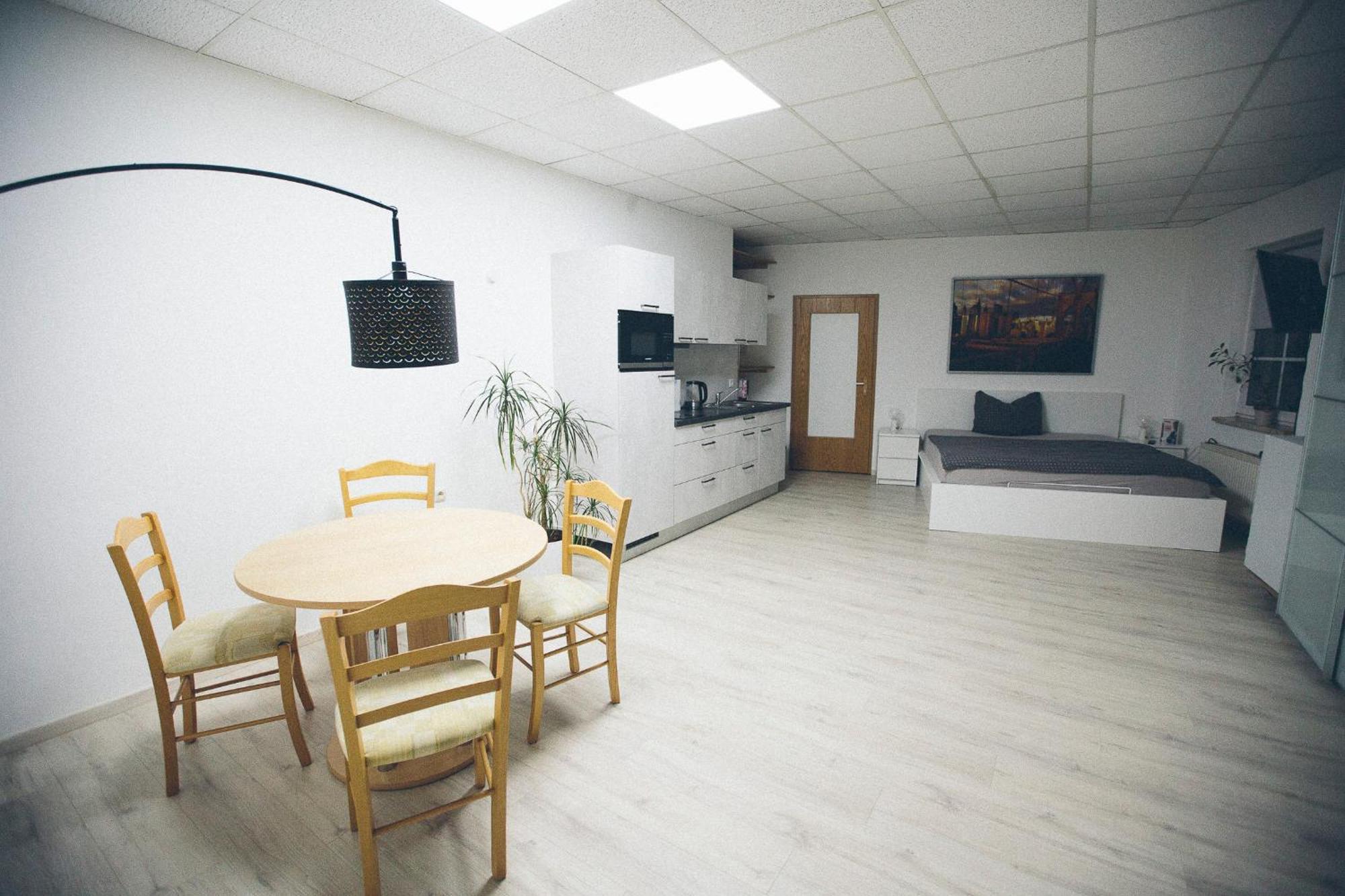 Grosse & Voll Ausgestattete Apartments, Studios, Doppelzimmer, Workspace, Parkplatz, Netflix, Prime & Schnelles Wifi In Ruhiger Lage Mit Garten Rudolstadt Εξωτερικό φωτογραφία