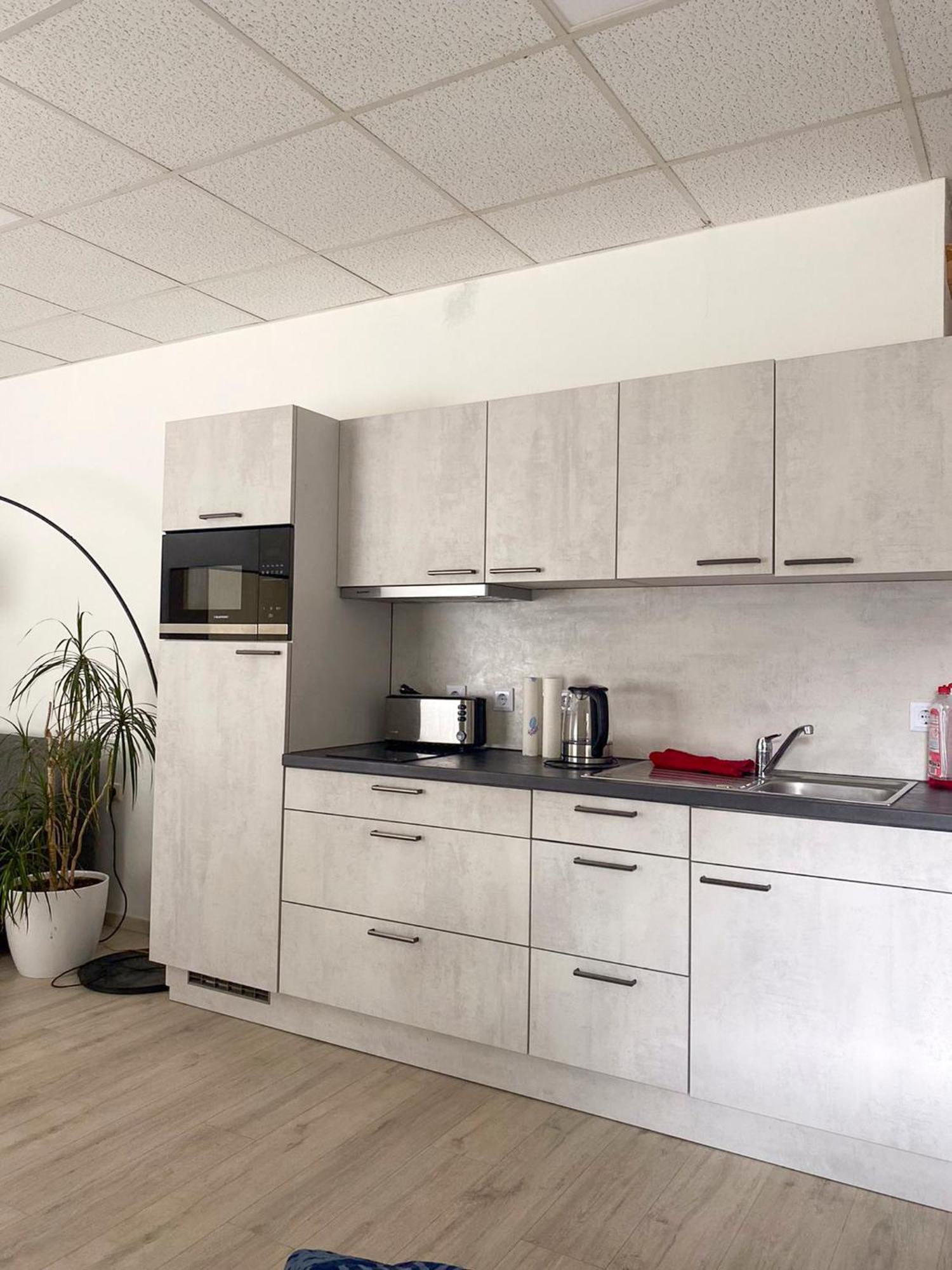 Grosse & Voll Ausgestattete Apartments, Studios, Doppelzimmer, Workspace, Parkplatz, Netflix, Prime & Schnelles Wifi In Ruhiger Lage Mit Garten Rudolstadt Εξωτερικό φωτογραφία