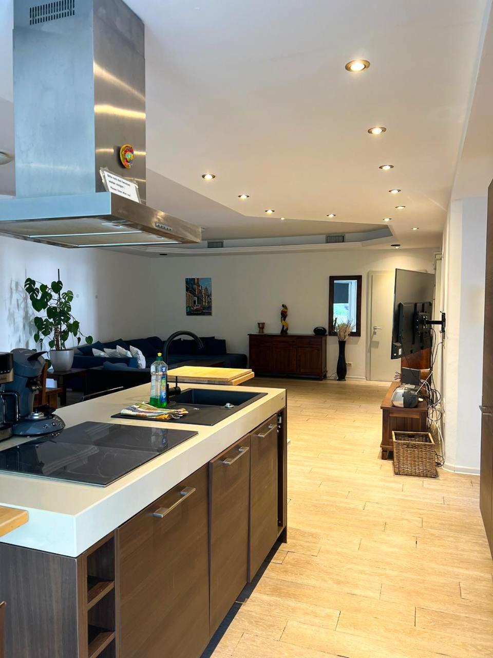 Grosse & Voll Ausgestattete Apartments, Studios, Doppelzimmer, Workspace, Parkplatz, Netflix, Prime & Schnelles Wifi In Ruhiger Lage Mit Garten Rudolstadt Εξωτερικό φωτογραφία